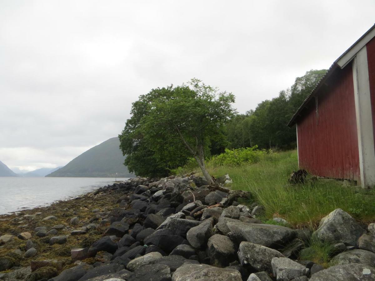 Tiny House With Fjordview! Villa Lauvstad Bagian luar foto