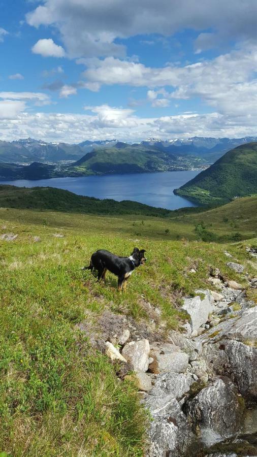 Tiny House With Fjordview! Villa Lauvstad Bagian luar foto